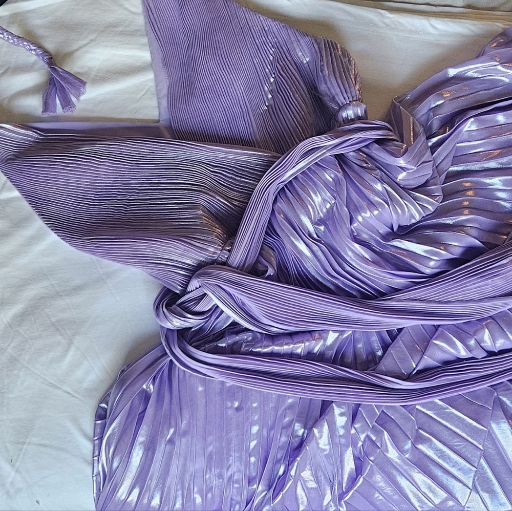 Alice + Olivia Gown (8)